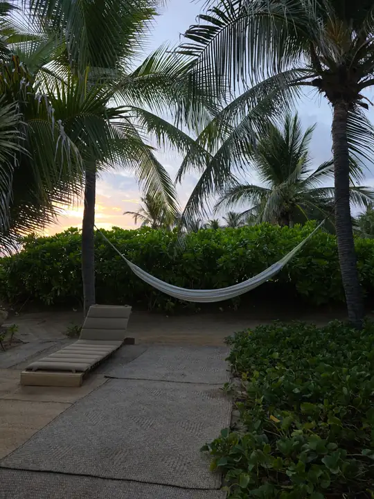 A hammock slung between coconut palms in the garden at Casa Uundu