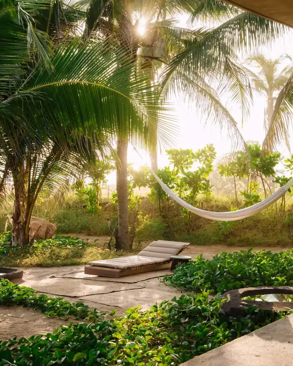 Hammock and sun lounger in the palm garden at Casa Uundu