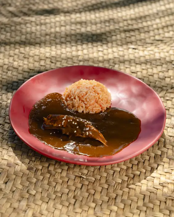 Mole and rice plated for lunch at Casa Uundu